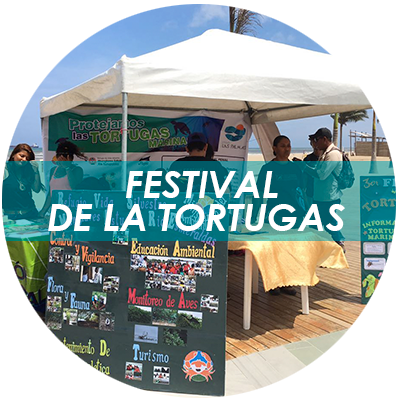 btn eventos Festival tortugas