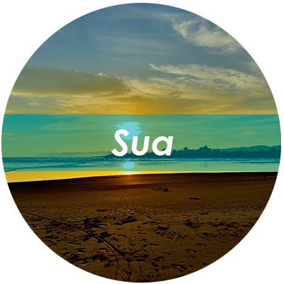 sua btn11