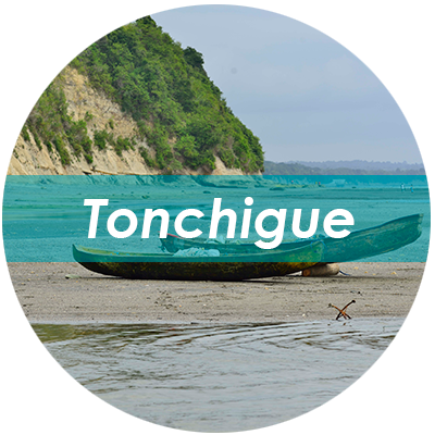 tonchigue btn11