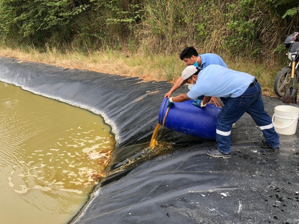 Gestión Ambiental del GAD Atacames monitorea piscinas de oxidación y tala de manglar