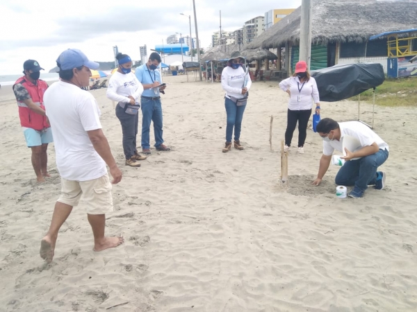 Acciones para proteger anidación de tortugas marinas